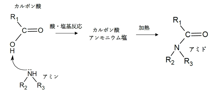 カルボン酸とアミンの脱水縮合でアミド合成　DCCは縮合剤　92回問10c